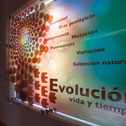 Imagen de la exposición