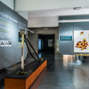 Imagen de la exposición