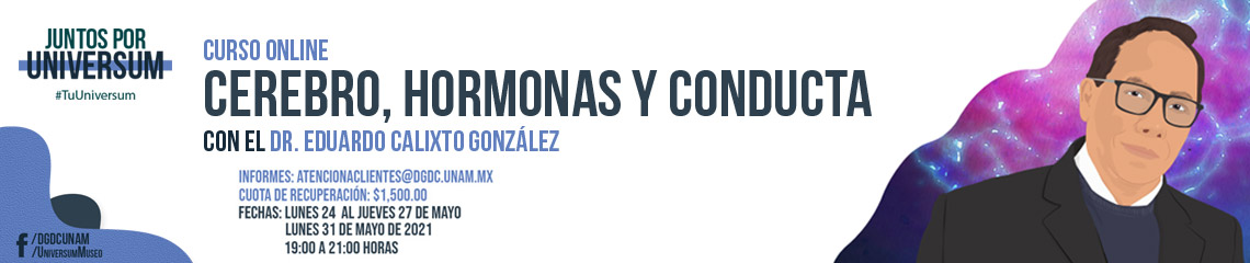 Curso en línea: 