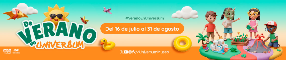 De verano en Universum 2025