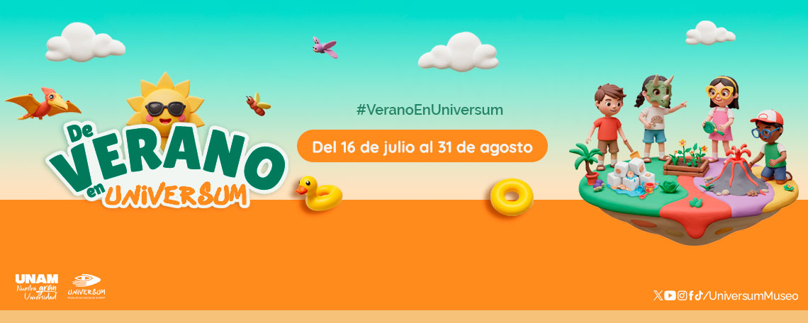 De verano en Universum 2025