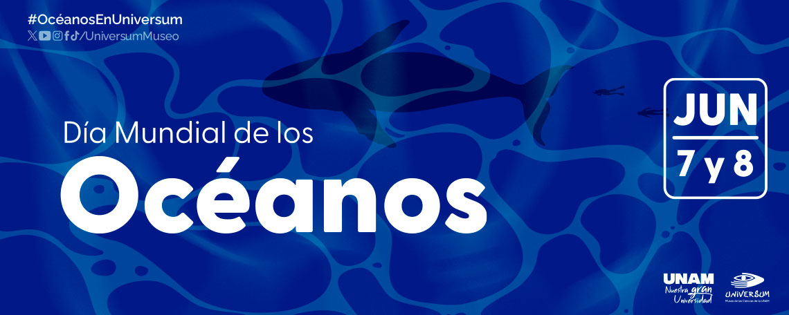 Día Mundial de los Océanos 2025