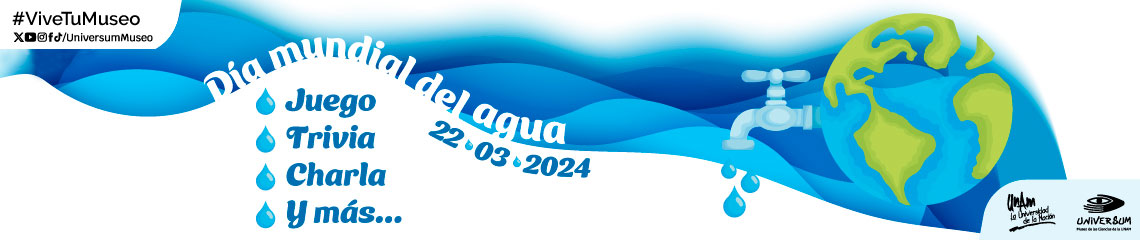 Día Mundial del Agua