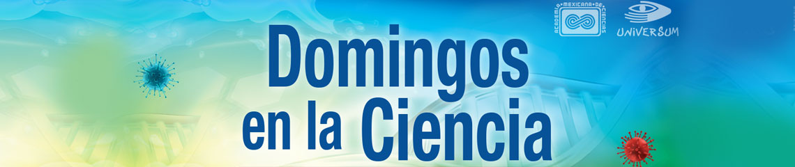 Domingos en la ciencia 2019