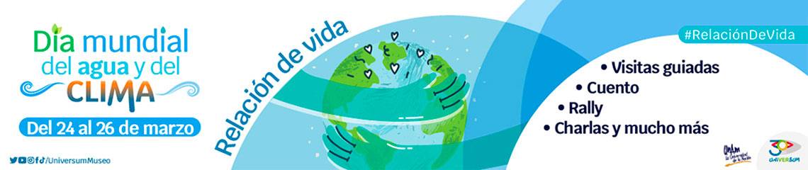 El agua y el clima: relación de vida