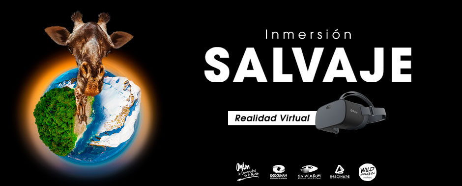 Inmersión Salvaje