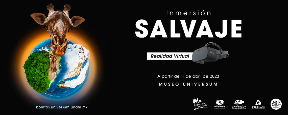 Inmersión salvaje