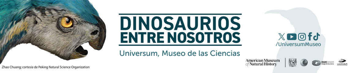 Programa de actividades Exposición Dinosaurios entre nosotros 2024