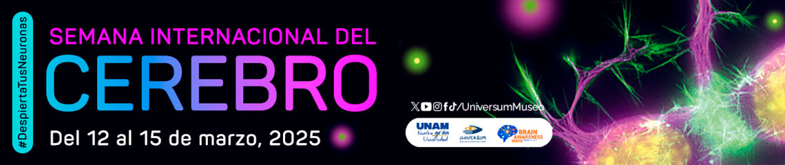 Semana Internacional del Cerebro 2025