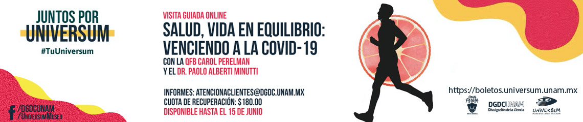 Visita guiada virtual por la Sala Salud Vida en Equilibrio